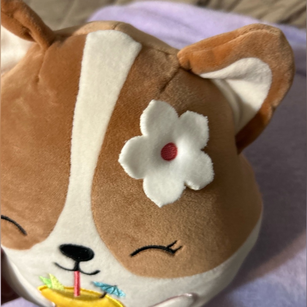 Squishmallows Flip-a-Mallows Maui & Regina & Joelle the Bigfoot - Picture 8 of 11